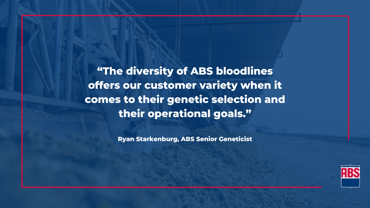April 2024 Sire Summary Diversity Equals Strength ABS Global US