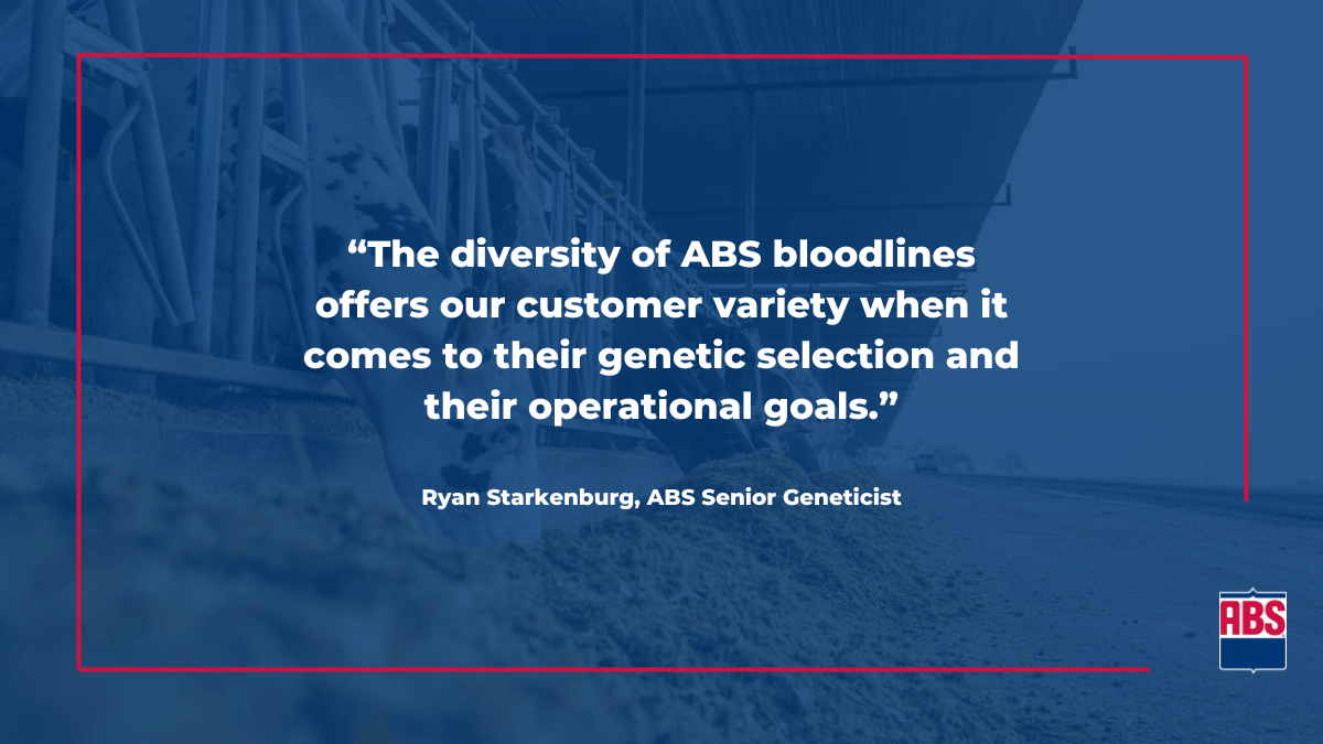 April 2024 Sire Summary Diversity Equals Strength ABS Global US