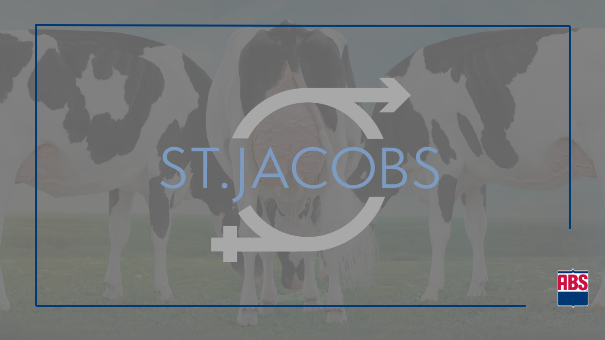 A Trio of New Linear Choice Sires ABS Global US