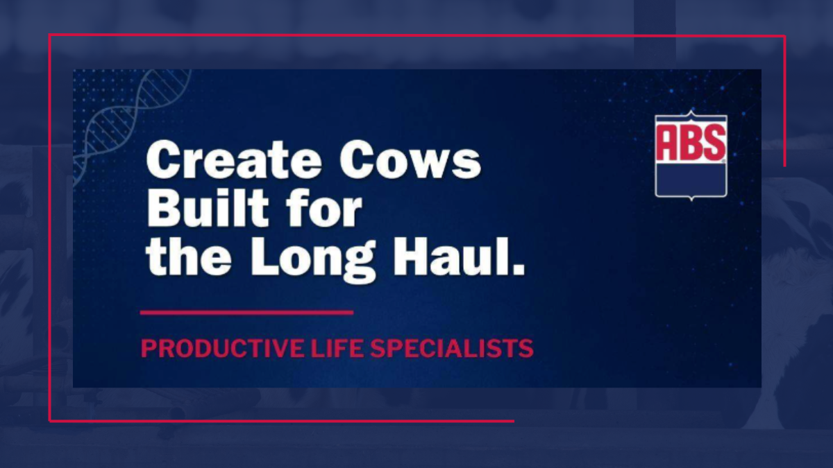 Productive life specialists: 5 new bulls for longevity & profitability