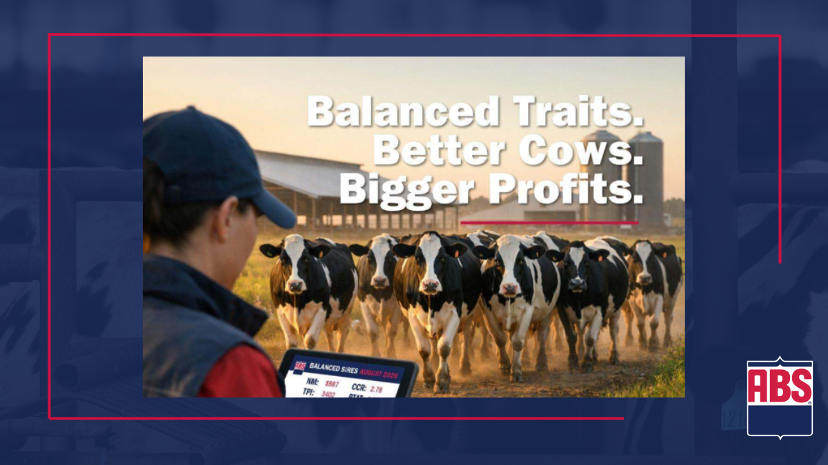 Balanced sires deliver what today’s dairy producers need most: performance, fertility, health, and longevity