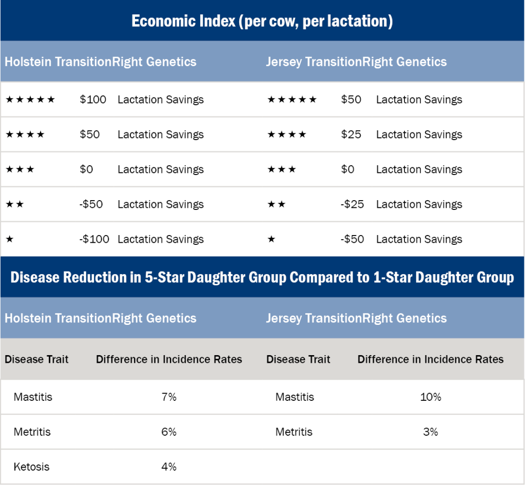 TransitionRight® ABS Global USA
