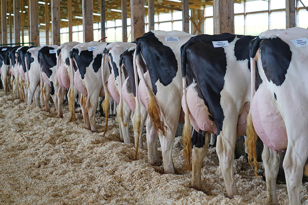 De Novo ABS Global USA