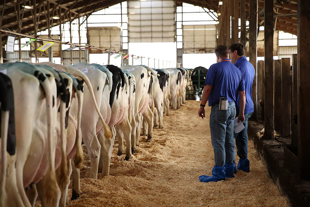 Genus ABS Bovine & Cattle Breeding Technologies ABS Global USA