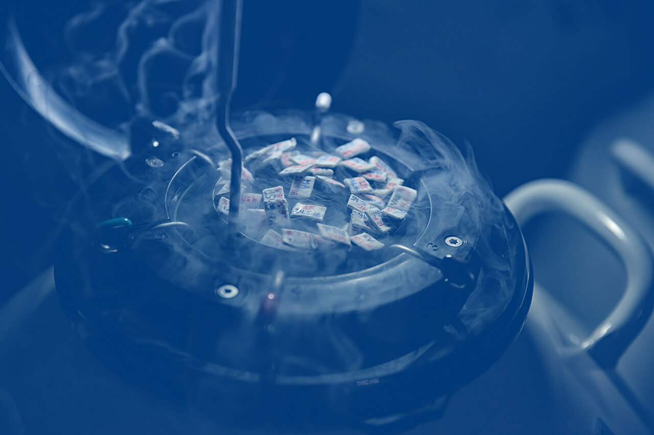 ABS Sexcel® 101 Using Sexed Semen to Improve Your Herd ABS Global USA