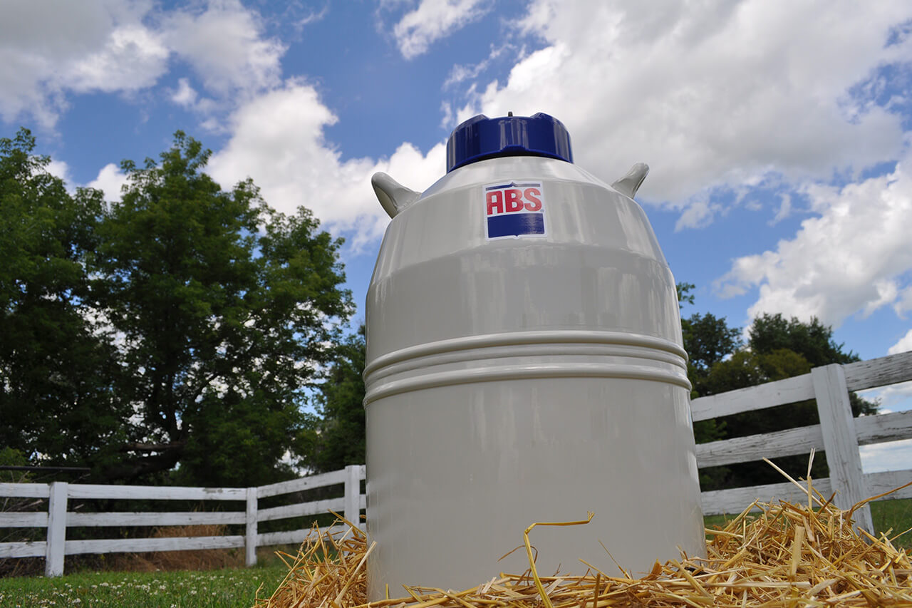 How to make breeding day more effective Part 1 Nitrogen tank and