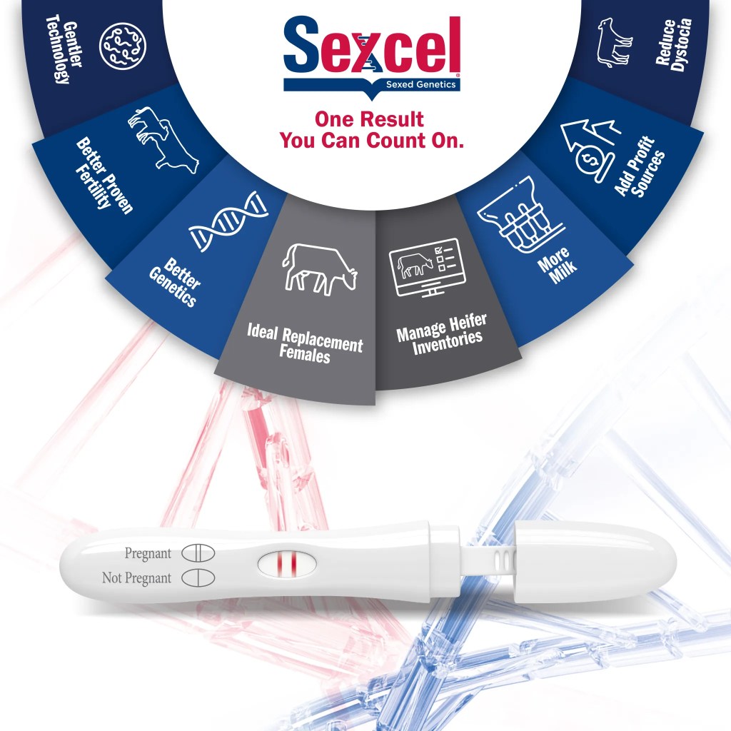 Sexcel Radial South Africa