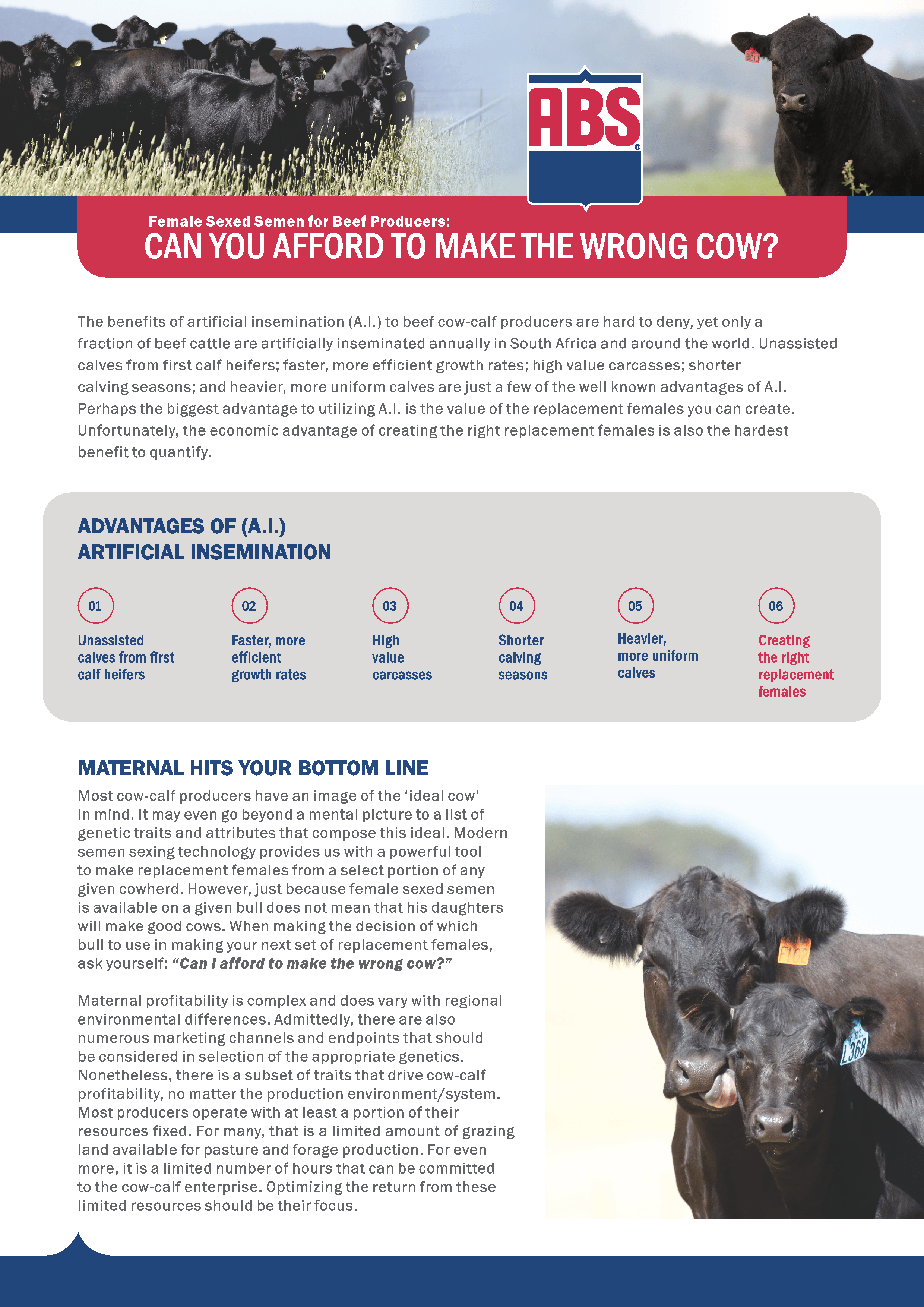 Online Brochures ABS Global South Africa online-brochures-abs-global-south-africa