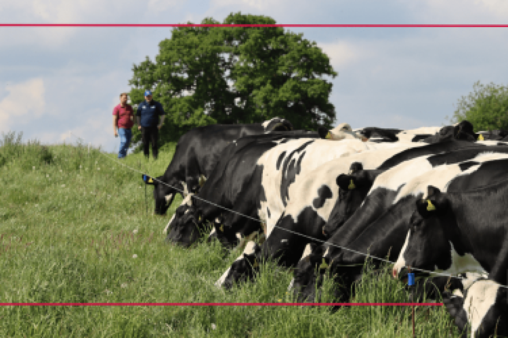 profit from genetic progress today