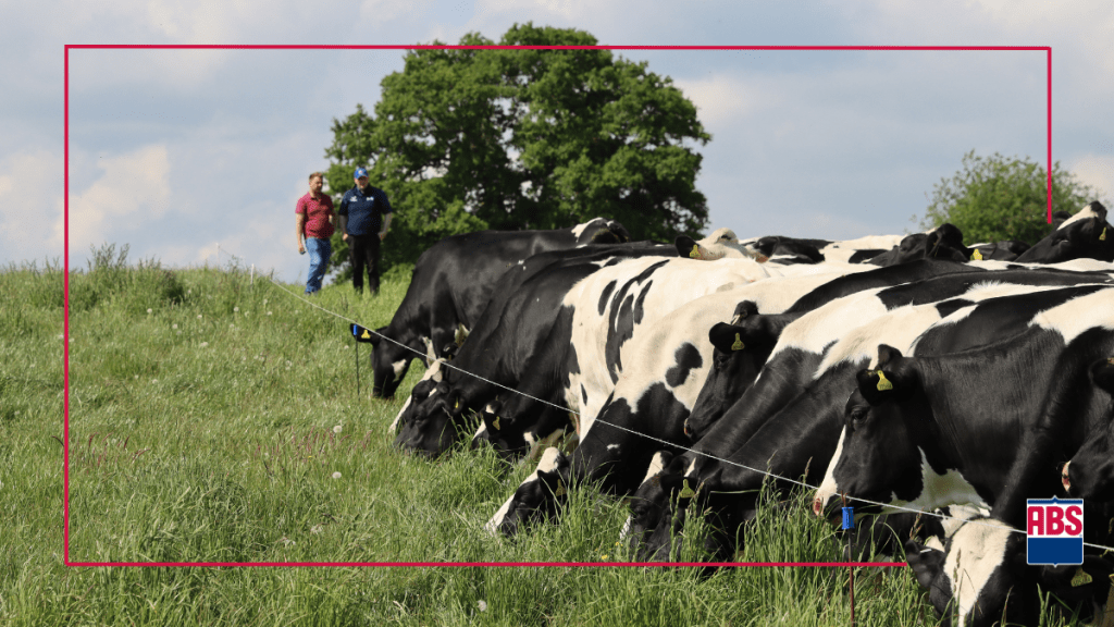profit from genetic progress today